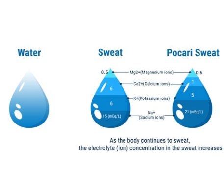 포카리스웨트 성분, 그리고 우주에서의 전해질 균형